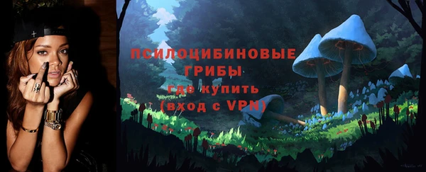 прущие грибы Надым