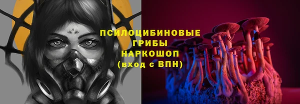 прущие грибы Надым