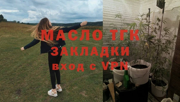 прущие грибы Надым