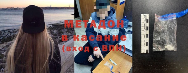 прущие грибы Надым