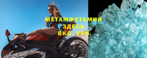 прущие грибы Надым