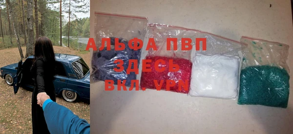 прущие грибы Надым